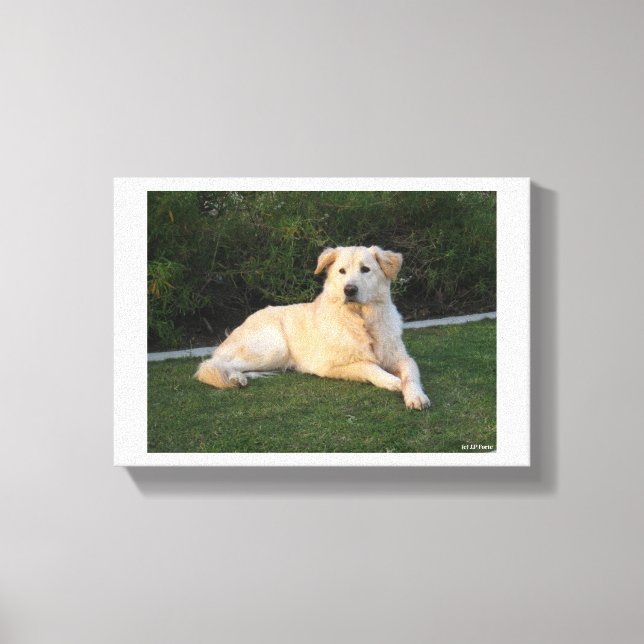 Entspannender Hund Leinwanddruck (Vorderseite)