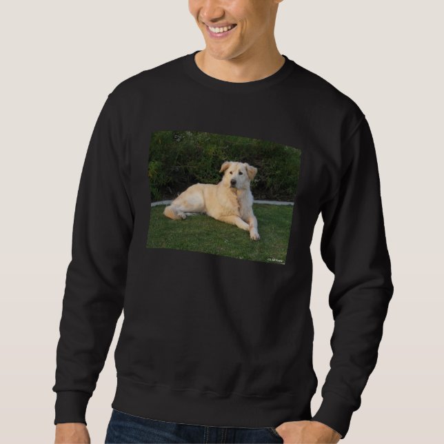 Entspannender Hund Sweatshirt (Vorderseite)