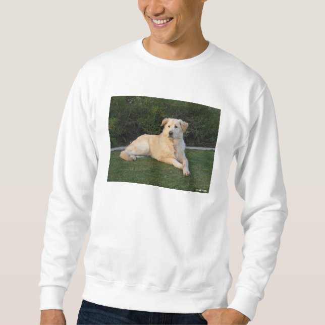 Entspannender Hund Sweatshirt (Vorderseite)