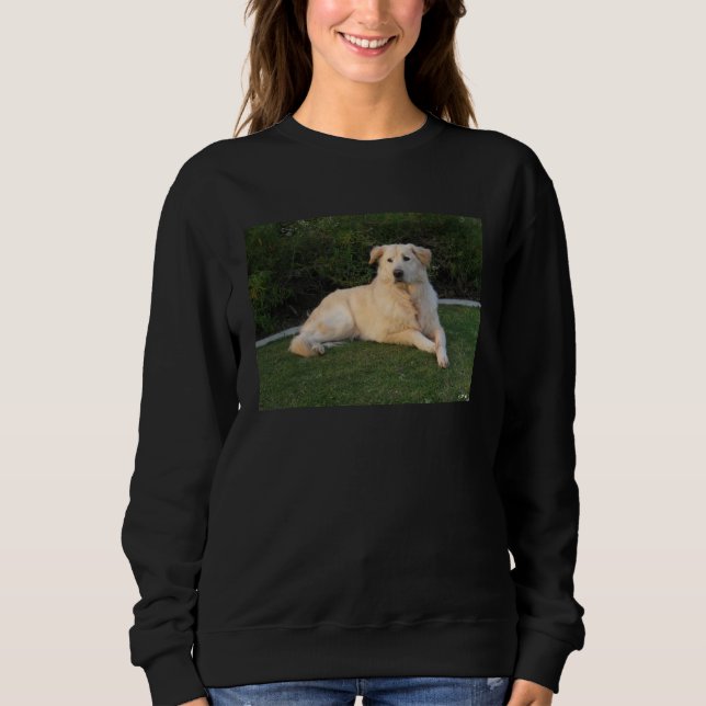 Entspannender Hund Sweatshirt (Vorderseite)
