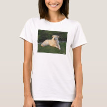 Entspannender Hund