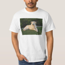 Entspannender Hund