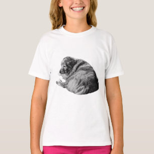 Entspannender Winterhund teilt Trost in weicher Sc T-Shirt