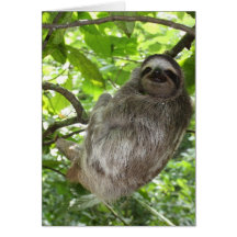 Entspannte Schlucht in der Natur