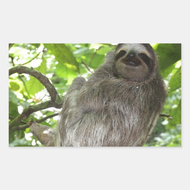 Entspannte Schlucht in der Natur Rechteckiger Aufkleber (Vorderseite)