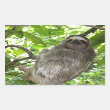 Entspannte Schlucht in der Natur