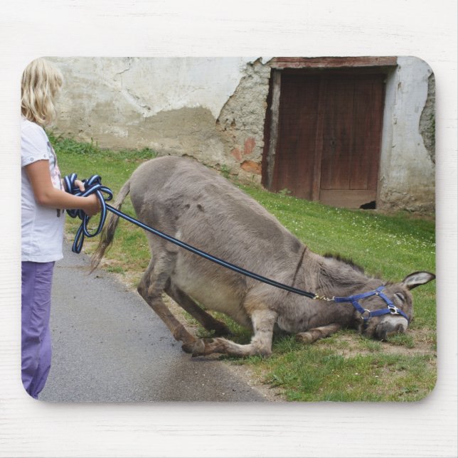 Entspannter Donkey Mousepad (Vorne)