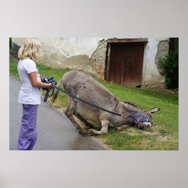 Entspannter Donkey Poster (Vorne)