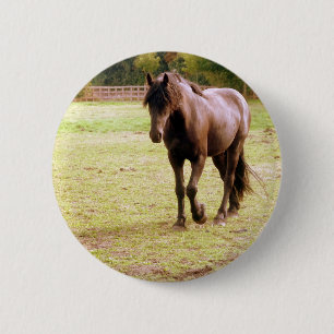 Entspanntes Brown Horse Walking Button