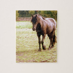 Entspanntes Brown Horse Walking Puzzle