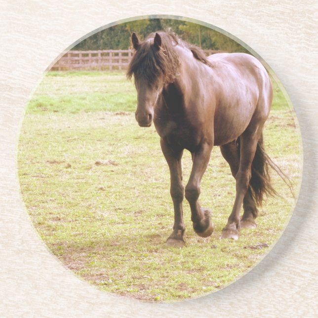 Entspanntes Brown Horse Walking Sandstein Untersetzer (Vorne)