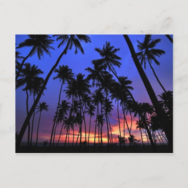 Entspanntes Design Florida fühlen Postkarte (Vorderseite)