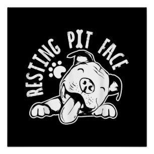 Entspanntes Pit-Gesicht Lustiges Hund Pitbull Meme Poster
