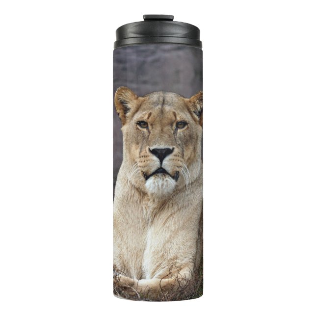 ENTSPANNUNG DER LIONENZ THERMOSBECHER (Vorderseite)