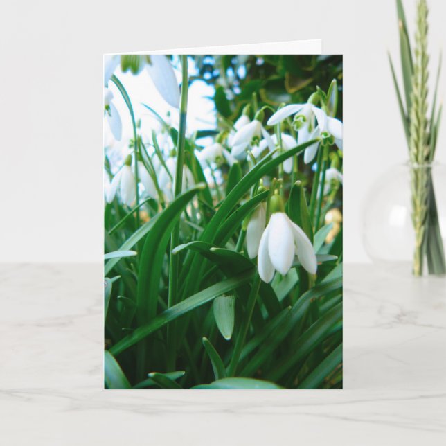 Entstehen Karte (Vorderseite)