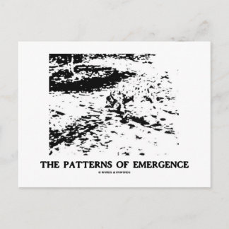 Entstehungsmuster (optische Illusion des Dalmatine Postkarte