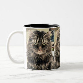enttäuschte Katze Zweifarbige Tasse