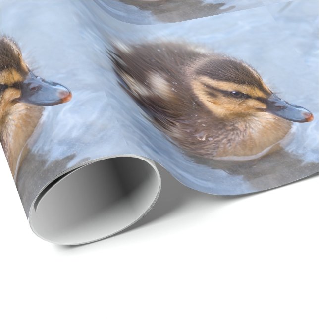 Entwässerungspapier Geschenkpapier (Rolleneckpunkt)