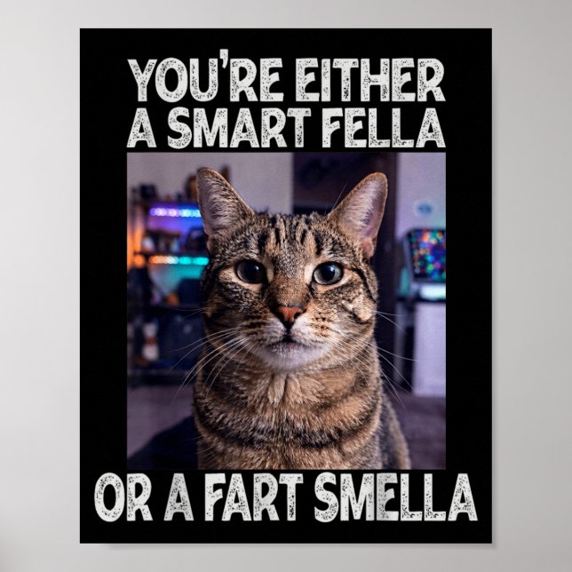 Entweder ein schlauer Kerl oder ein alberner Kerl  Poster (Vorne)