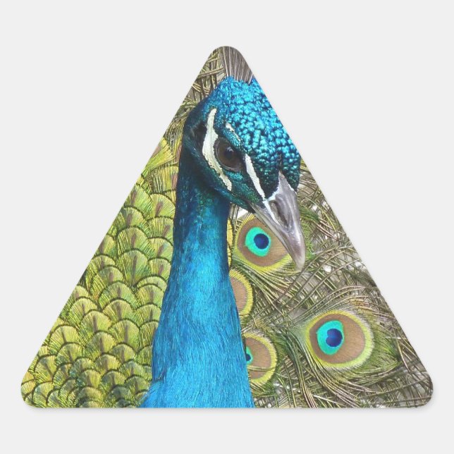 Entwerfen Sie Ihr eigenes Foto Stickers Triangle (Vorderseite)