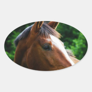 Entwerfen Sie Ihre eigene, benutzerdefinierte Foto Ovaler Aufkleber