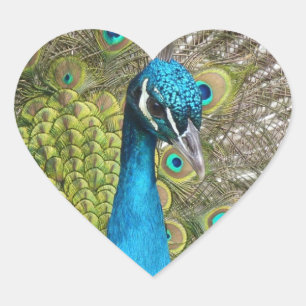 Entwerfen Sie Ihre eigenen, benutzerdefinierten Fo Herz-Aufkleber