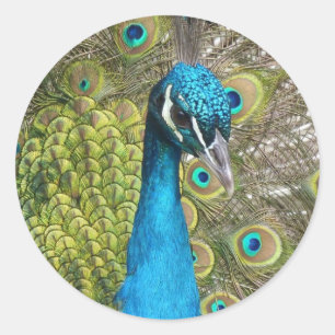 Entwerfen Sie Ihre eigenen benutzerdefinierten Fot Runder Aufkleber