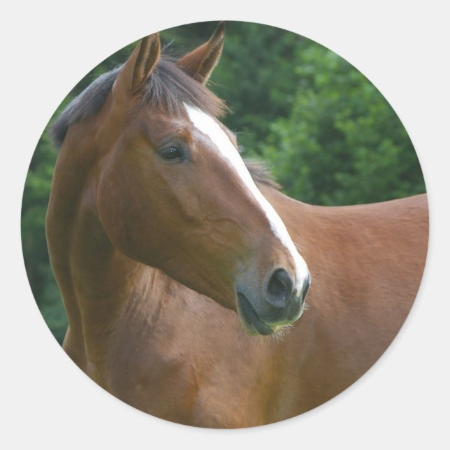 Entwerfen Sie Ihre eigenen benutzerdefinierten Fot Runder Aufkleber (Vorderseite)