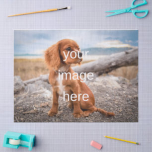 ENTWICKELN SIE IHRE EIGENE SEIDENPAPIER