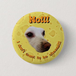 Entwicklung Button