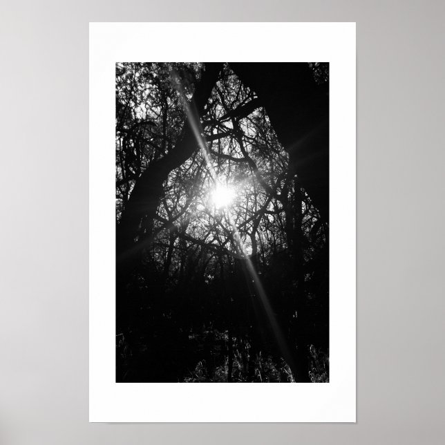Entwined Hawaii Black and White Fotografy Poster (Vorne)