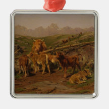 Entwöhnung der Kälber (ländlicher Viehzuchtbetrieb