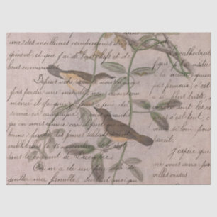 Entwurf der Vogelserie fünf Seidenpapier