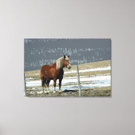 Entwurf eines belgischen Pferdes in der Leinwand P