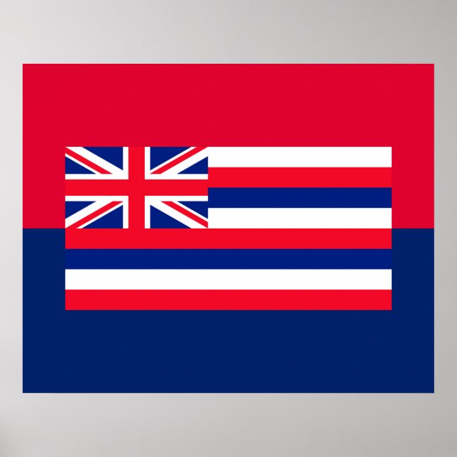 Entwurf eines Flaggenstaates in Hawaii Poster (Vorne)