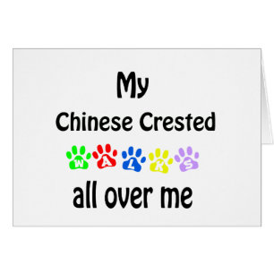 Entwurf für chinesisch entworfene Spaziergänge