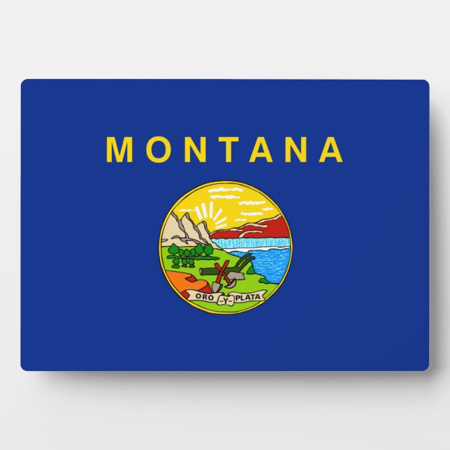 Entwurf für die Staatsflagge von Montana Fotoplatte (Vorderseite)