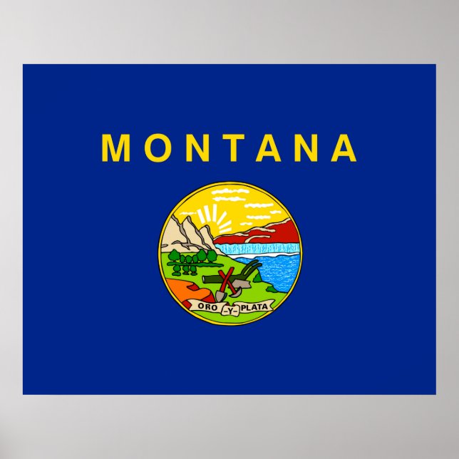Entwurf für die Staatsflagge von Montana Poster (Vorne)