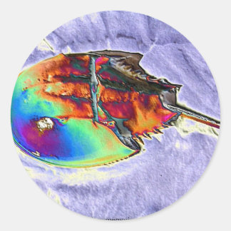 Entwurf von Horseshoe Crab Foil Runder Aufkleber