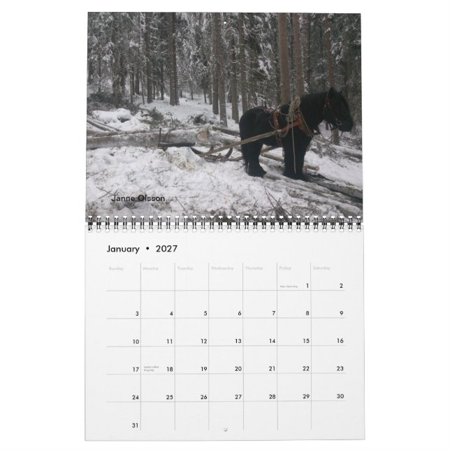 Entwurfs-Pferdefreundkalender Kalender (Jan 2027)
