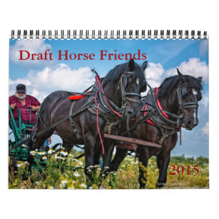 Entwurfs-Pferdefreundkalender Kalender