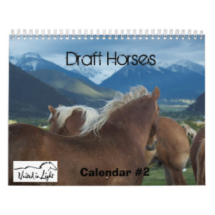 Entwurfs-Pferdekalender #2 Kalender