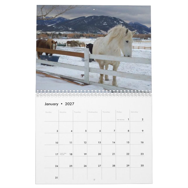 Entwurfs-Pferdekalender #5 Kalender (Jan 2027)