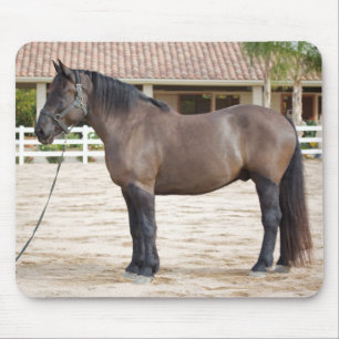 Entwurfs-Pferdemausunterlage Mousepad