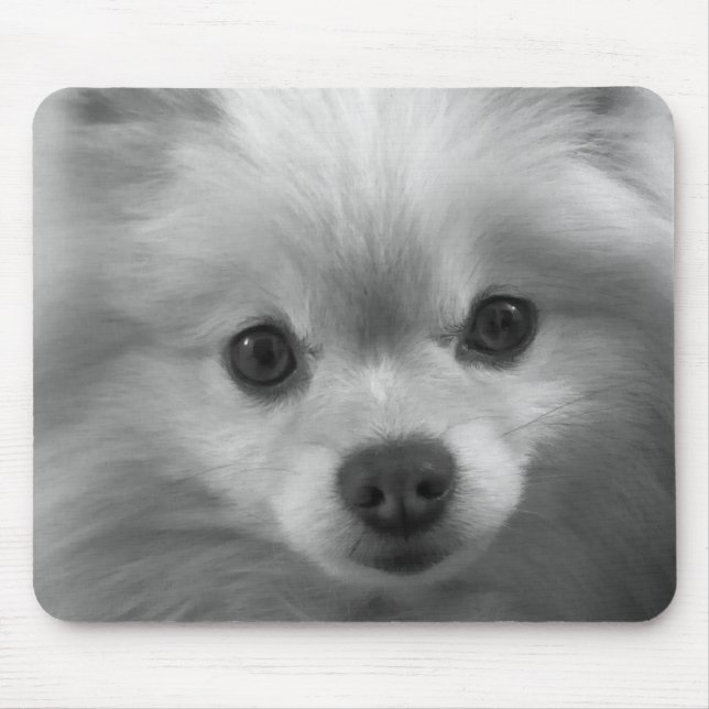 Entzückend niedlicher Spitz-Welpe Mousepad (Vorne)