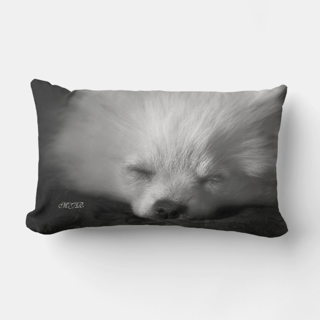 Entzückend niedliches Snoozing Spitz-Monogramm Lendenkissen (Vorderseite)