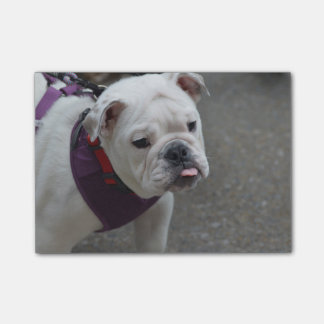 Entzückende Bulldogge Post-it Klebezettel