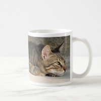 Entzückende durchdachte Tabby-Katzen-Tasse