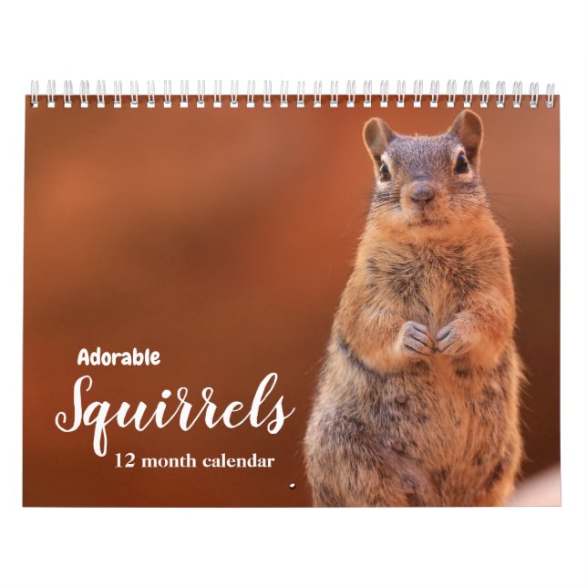 Entzückende Eichhörnchen 2027 Kalender (Titelbild)