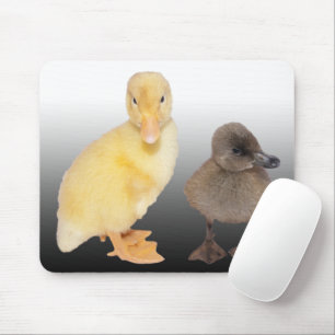 Entzückende Entlein-Fotografie Mousepad